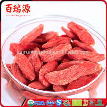 Organic goji bacche di goji goji berry plant in Ningxia